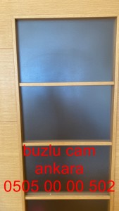 ankara-buzlucam-camkapı-05050000502-ankara (35)