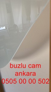ankara-buzlucam-camkapı-05050000502-ankara (37)