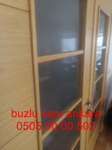 ankara-buzlucam-camkapı-05050000502-ankara (40)