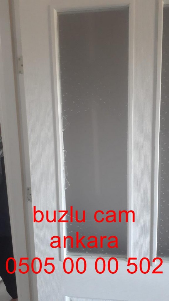 ankara-buzlucam-camkapı-05050000502-ankara (18)