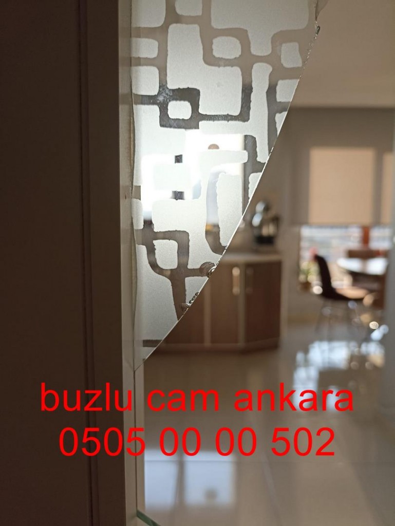 ankara-buzlucam-camkapı-05050000502-ankara (11)