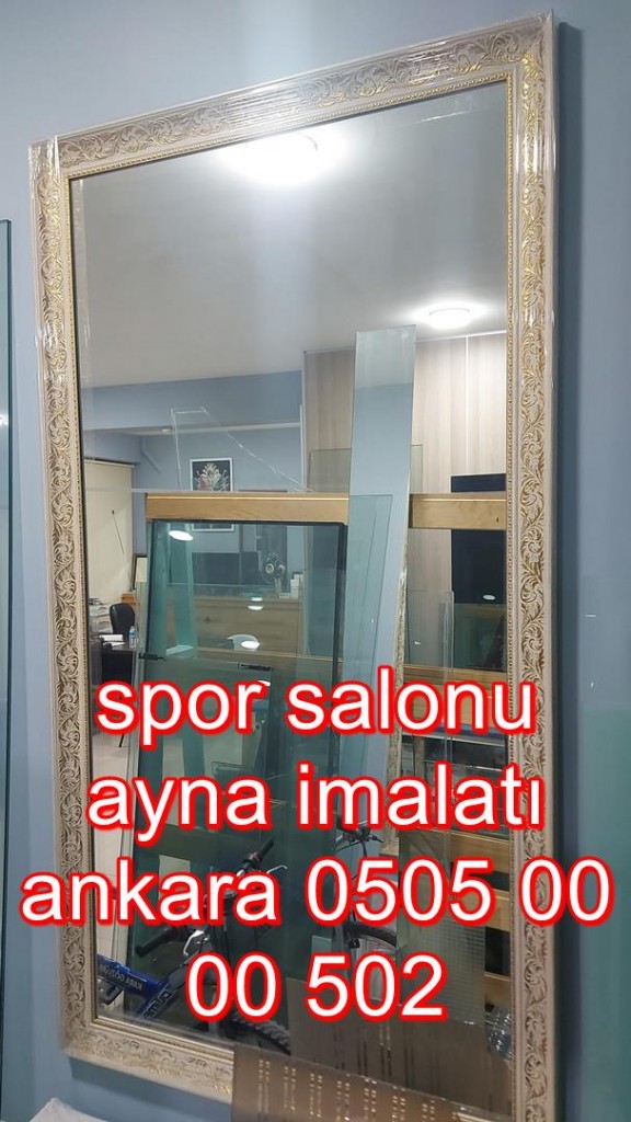 SPOR-SALONU-AYNASI-05050000502 ankara (11)