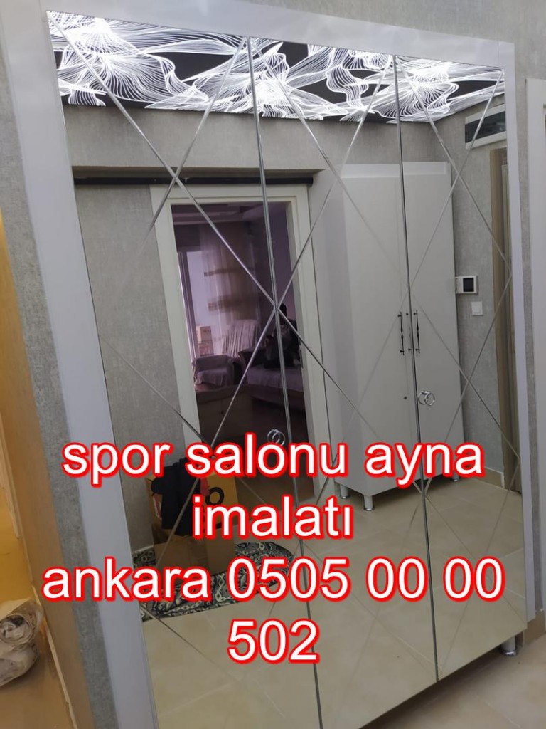 SPOR-SALONU-AYNASI-05050000502 ankara (9)