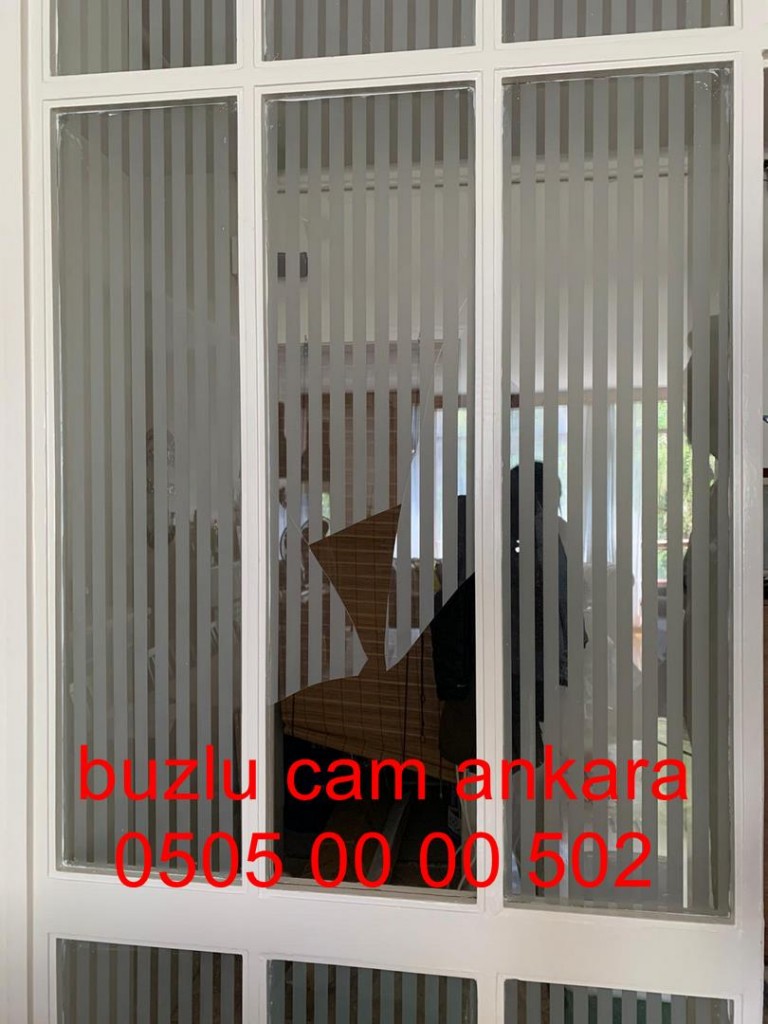 ankara-buzlucam-camkapı-05050000502-ankara (7)