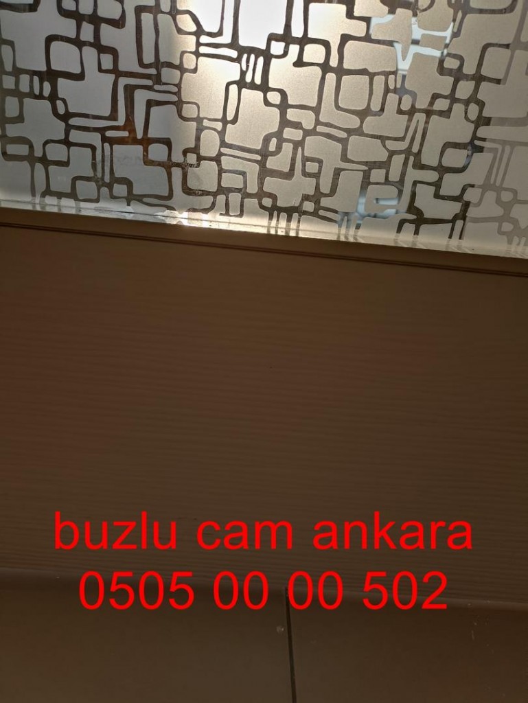ankara-buzlucam-camkapı-05050000502-ankara (13)