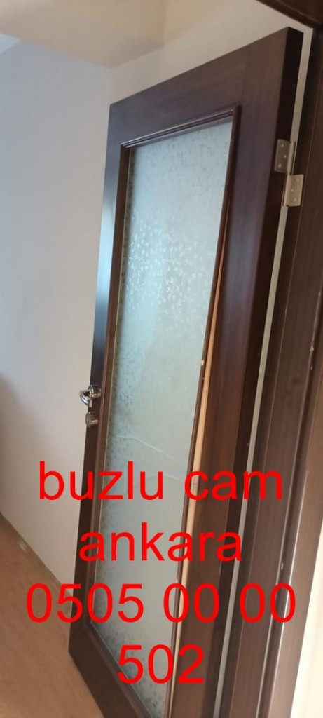 ankara-buzlucam-camkapı-05050000502-ankara (14)