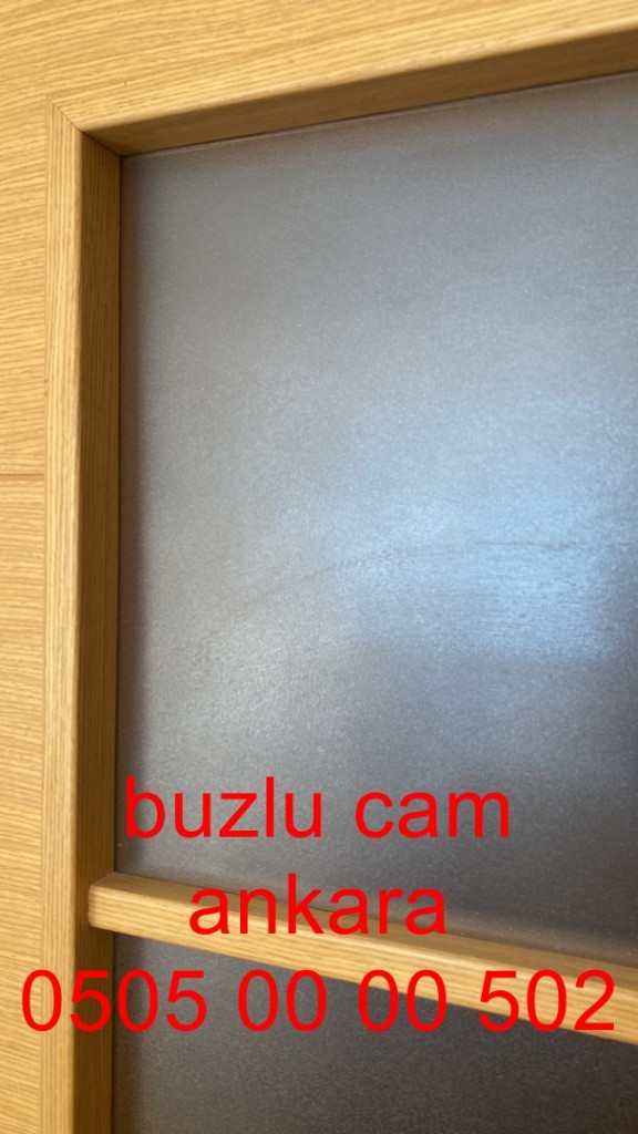 ankara-buzlucam-camkapı-05050000502-ankara (34)
