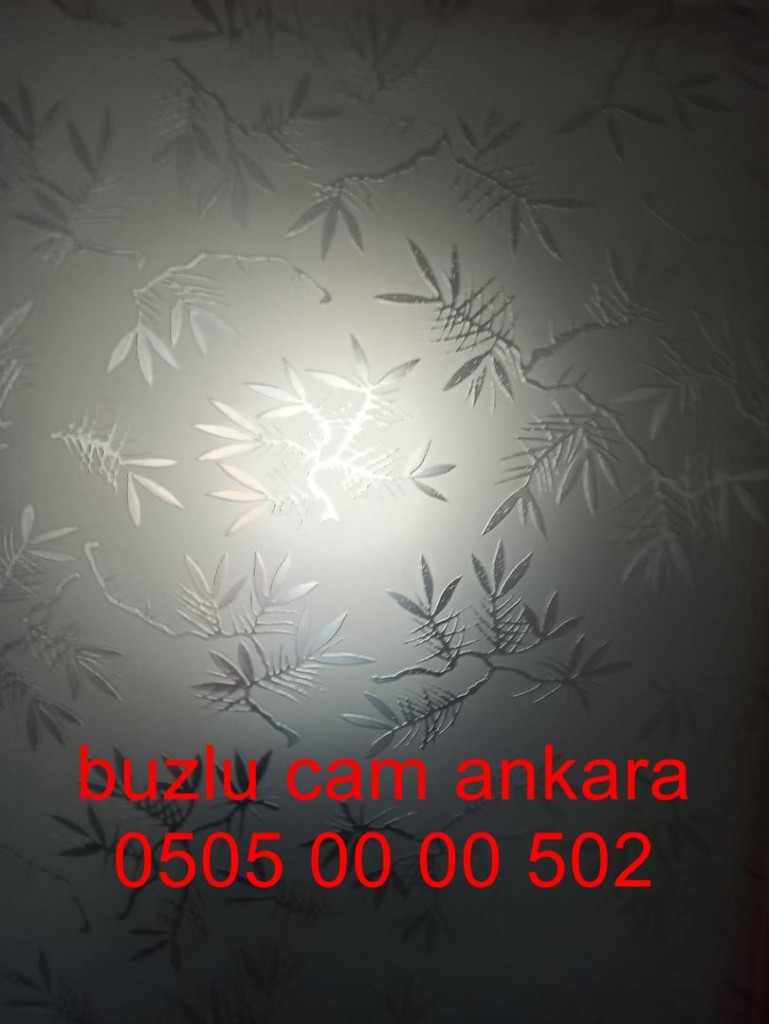 ankara-buzlucam-camkapı-05050000502-ankara (44)